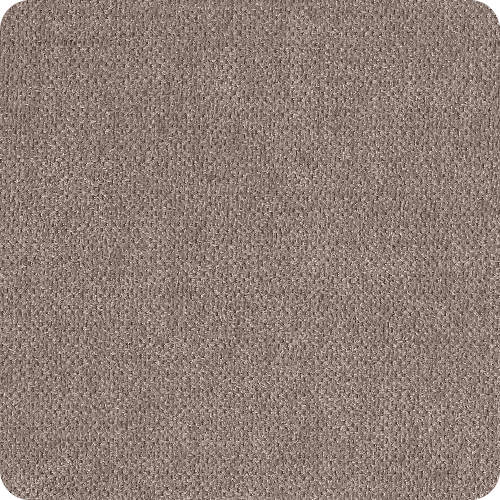 ФР Лейди 305 ФР Лейди 305